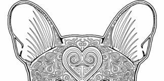 bulldog head zentangle coloring book to print