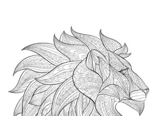 lion's head zentangle coloring book to print