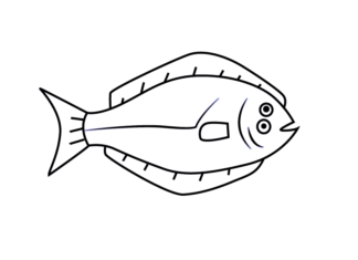 halibut for kids coloring book to print