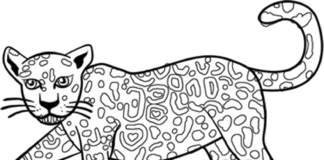 livre de coloriage de chat jaguar à imprimer