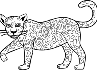 jaguar kot rysunek kolorowanka do drukowania