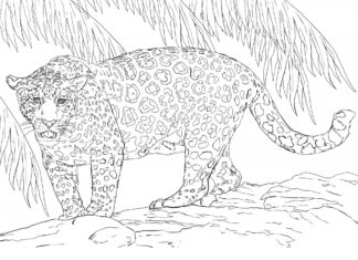 jaguar bajo el árbol libro para colorear para imprimir