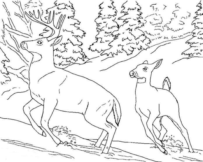 jelen v zimě omalovánky k vytisknutí