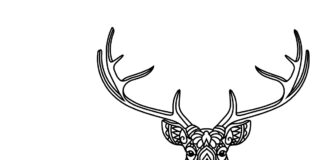 zentangle deer coloring book to print