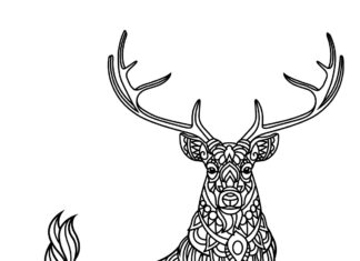 zentangle deer coloring book to print
