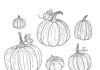 autumn pumpkins coloring book to print