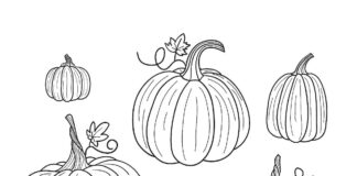 livre de coloriage de citrouilles d'automne à imprimer