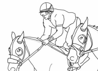 equestrian coloring book to print