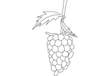 Blackberry Zeichnung Bild für den Druck