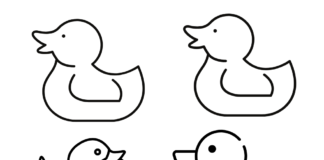 duck bath coloring book to print