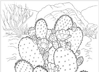kaktus värityskirja tulostettava