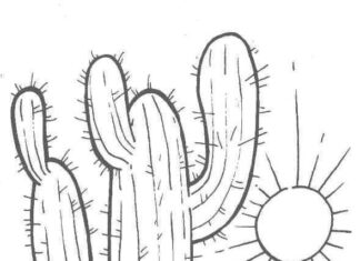 cacti coloring book to print