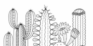 libro para colorear de cactus del desierto para imprimir