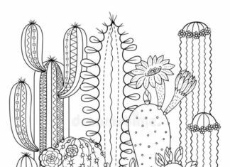 kaktusy pustynne kolorowanka do drukowania