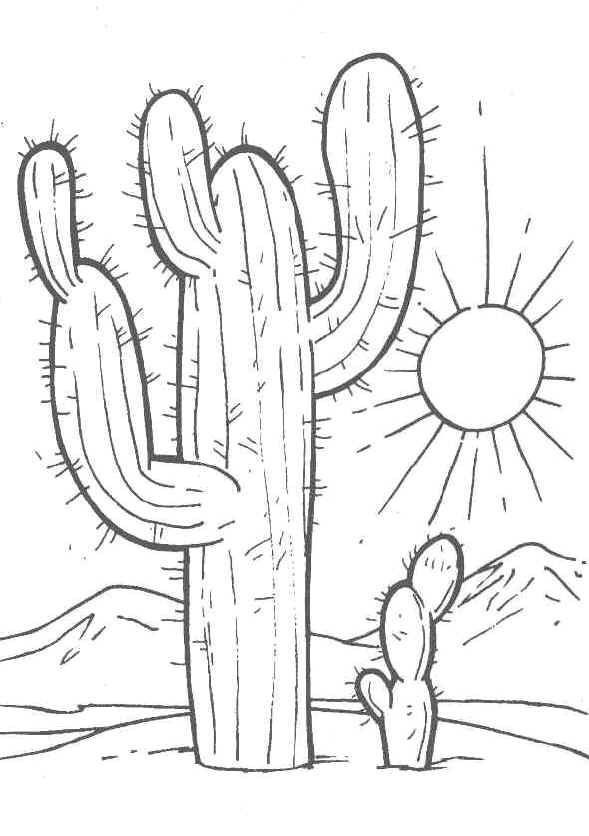 Kaktus färgbok att skriva ut