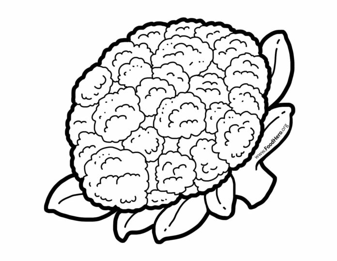 cauliflower for kids coloring book to print