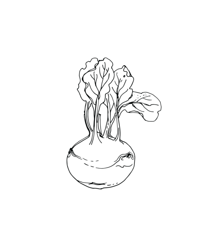 kalerepa zeleninové omalovánky k vytisknutí
