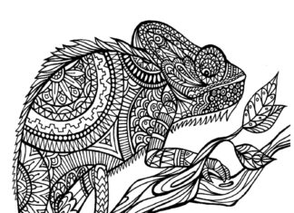 Mandala kameleon obrazek do drukowania