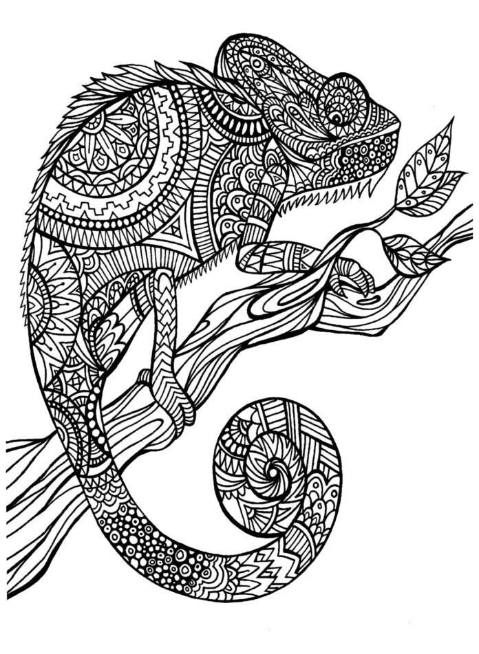 Mandala chameleon obrázek k vytisknutí