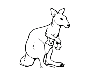 kænguru for børn til udskrivning af malebog