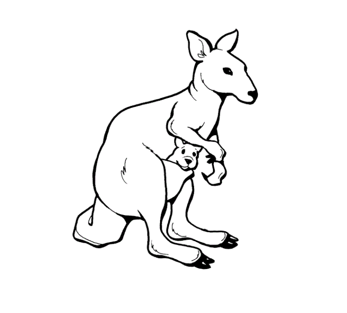 kenguru gyerekeknek nyomtatható kifestőkönyv