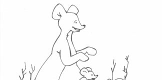 kangaroo drawing coloring book to print