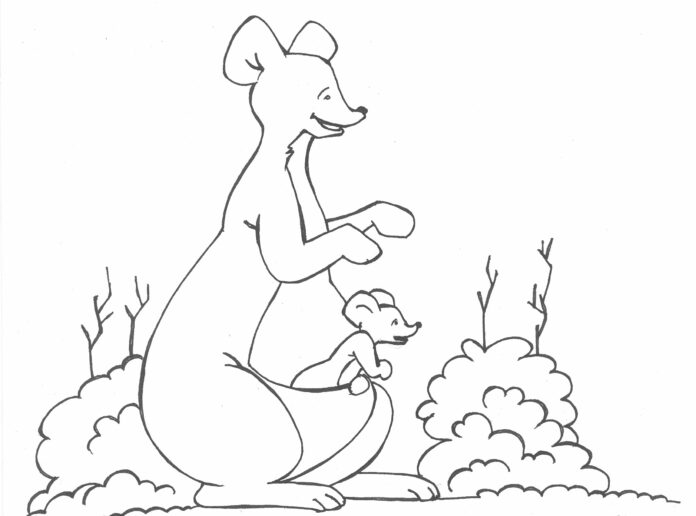 kangaroo drawing coloring book to print