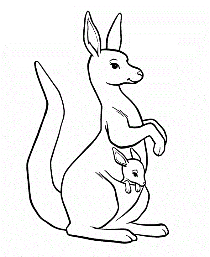 kangaroo with little kangaroo coloring book to print