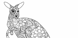 kangaroo zentangle coloring book to print