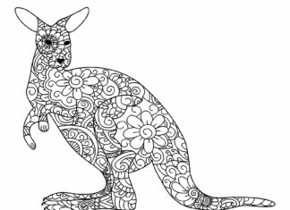 kangaroo zentangle coloring book to print