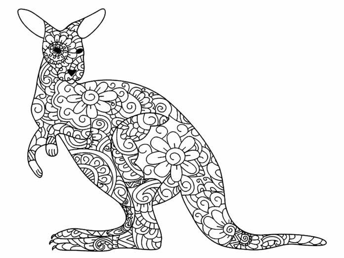 livro de colorir canguru em zentângulo para imprimir