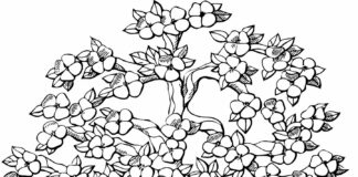 nodding tree coloring book to print