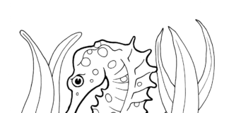 seahorse and plants coloring book to print