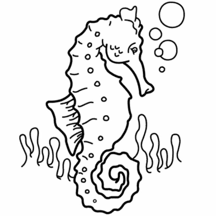mořský koník na dně oceánu - omalovánky k vytisknutí