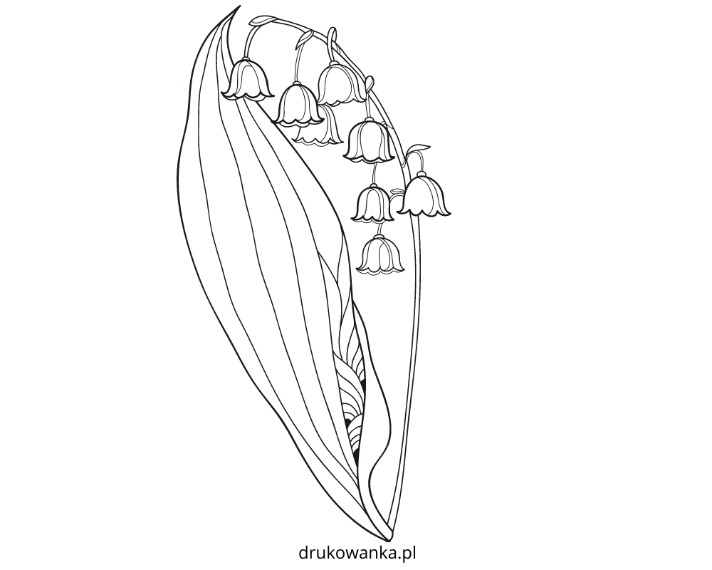lily of the valley with stem coloring book to print