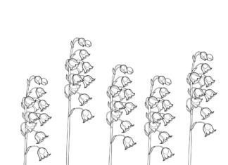 liljekonvalj med blommor att skriva ut målarbok