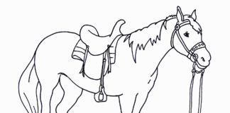 livre de coloriage "Le cheval avant la course" à imprimer