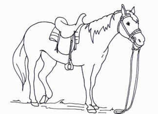 häst före ett lopp målarbok att skriva ut