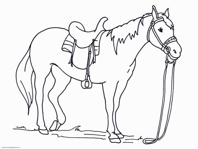 horse before racing coloring book to print