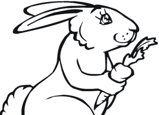 rabbit eats carrots coloring book to print