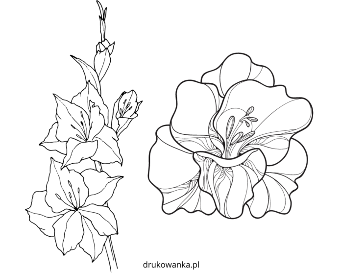 sword flower coloring book to print