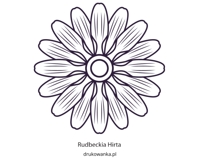 rudbeck blomst hirta malebog til udskrivning