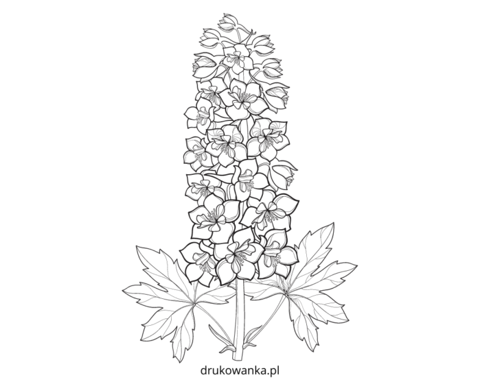 Kvetina hollyhock omaľovánky k vytlačeniu