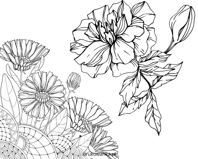 velvet flowers coloring book to print