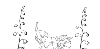 bell flowers coloring book to print