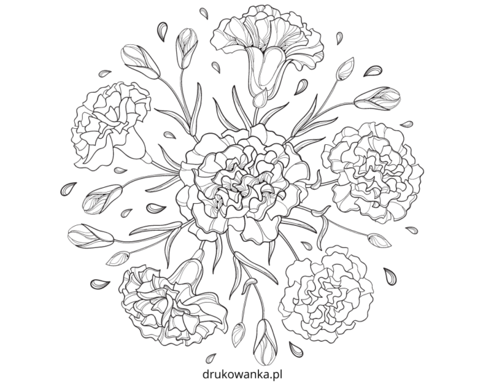 carnation flowers coloring book to print