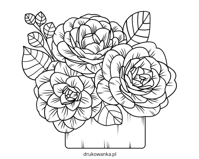 camellia flowers coloring book to print