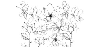 magnolia blossom flowers coloring book to print