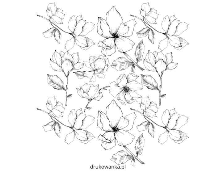 hoja para colorear de flores de magnolia en flor para imprimir