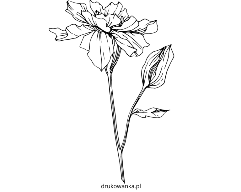 Velvet Blossoms coloring book to print and online